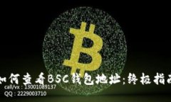 如何查看BSC钱包地址：终极指南