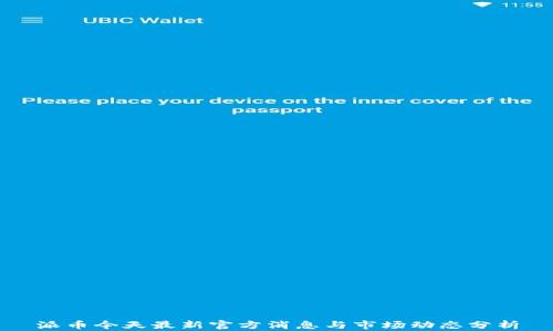 
派币今天最新官方消息与市场动态分析