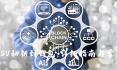 如何导入BSV私钥到钱包：详细指南与常见问题解