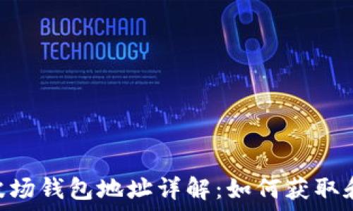  
TRX波场钱包地址详解：如何获取和使用