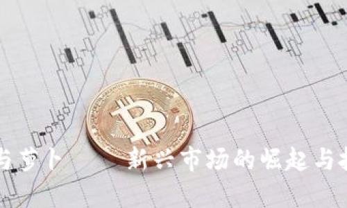 虚拟币与萝卜——新兴市场的崛起与投资启示