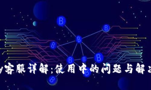 Gopay客服详解：使用中的问题与解决方案