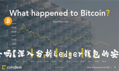 Ledger钱包安全吗？深入分析Ledger钱包的安全性及用户需知