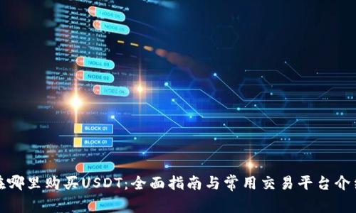 在哪里购买USDT：全面指南与常用交易平台介绍