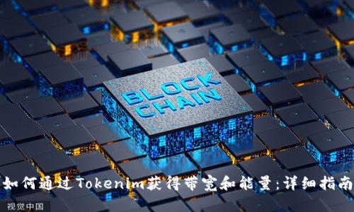 如何通过Tokenim获得带宽和能量：详细指南