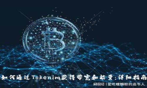 如何通过Tokenim获得带宽和能量：详细指南